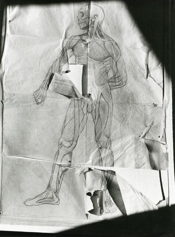 Emila Medková - Anatomická kresba