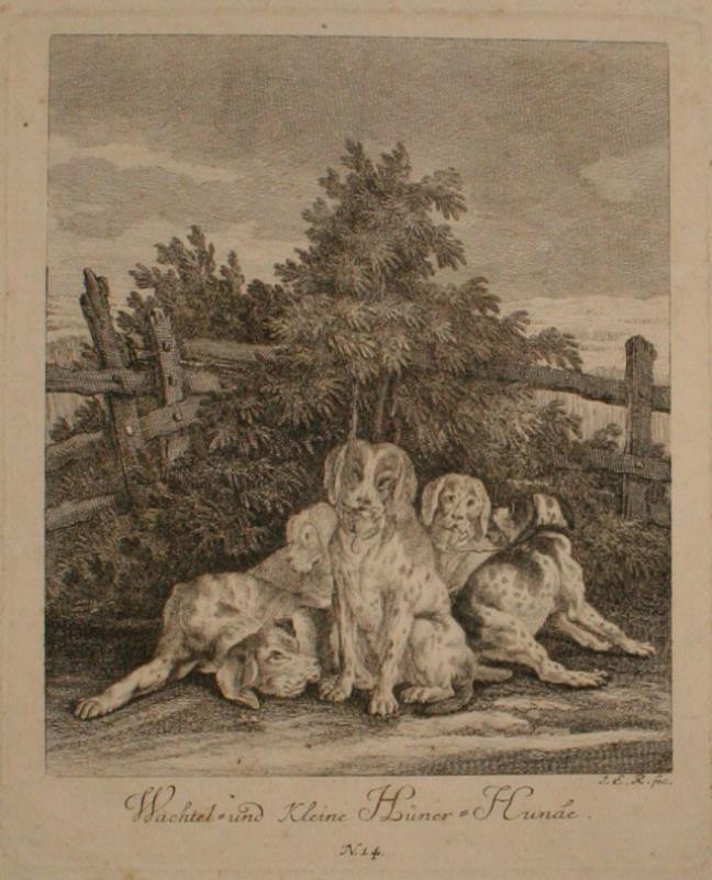 Johann Elias Ridinger (Riedinger) - Wachtel - und kleine Hüner - Hunde