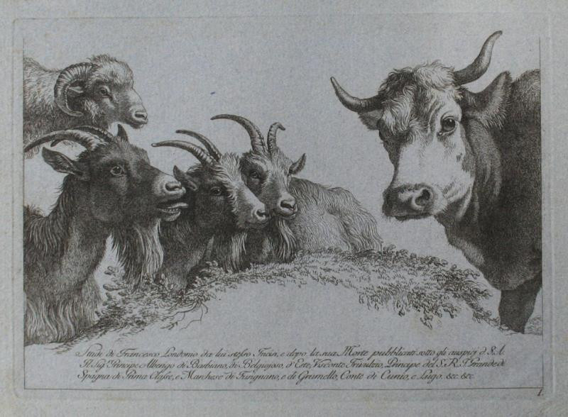 Francesco Londonio - Titulní list souboru studií zvířat