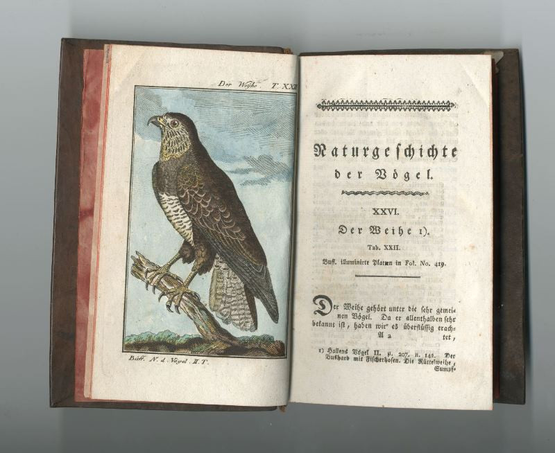 Georg Louis Leclerc de Buffon, Joseph Georg Traßler - Naturgeschichte der Vögel. Zweiter Band
