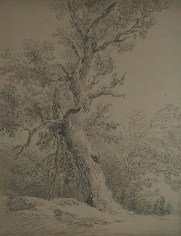 Martin von Molitor - Studie stromu