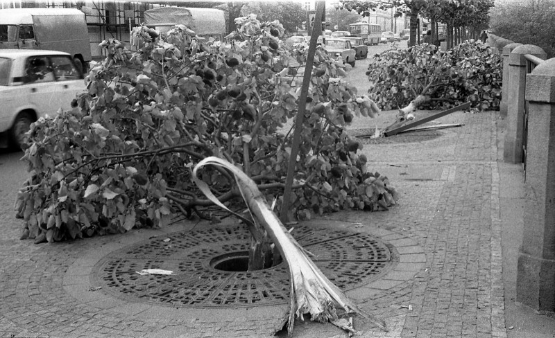 Dagmar Hochová - Cestou do parlamentu, 1991