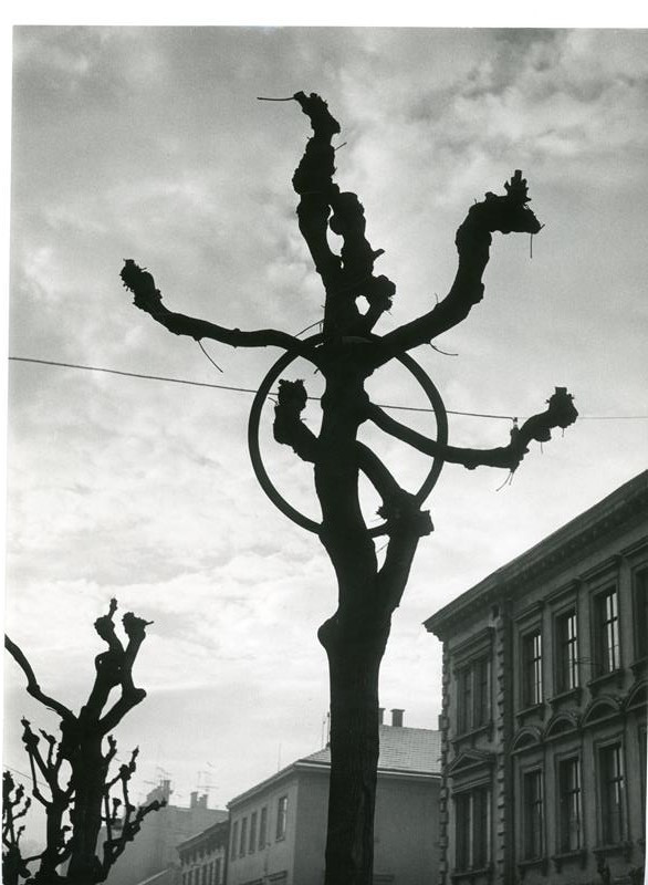 Vilém Reichmann - Ze souboru poselství stromů: Strom městský