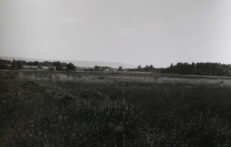 Filip Skalák - Zmizelé obce, Kocourkov 1958