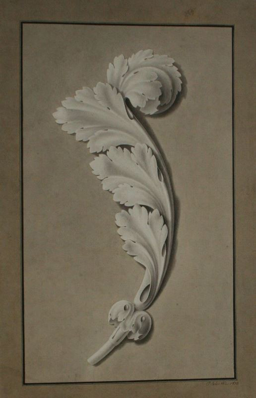 Carl von Sales - Studie ornamentu