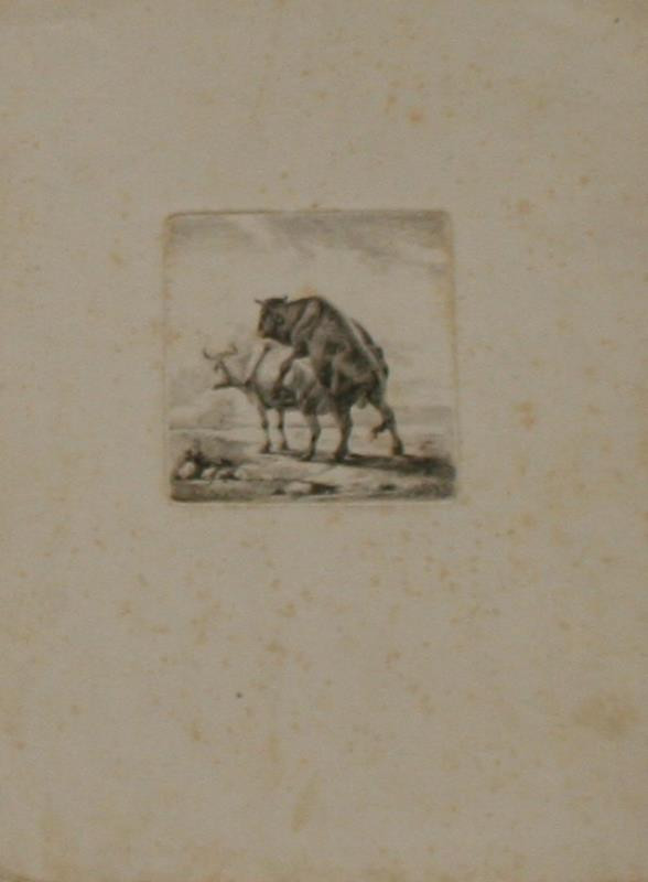 Johann Dallinger von Dalling /1782 - Býkův skok