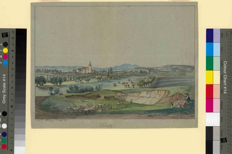 František (Franz) Richter - Celkový pohled na Telnici