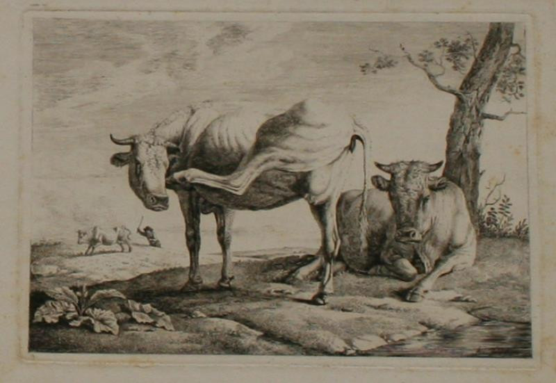 Johann Dallinger von Dalling /1782 - Krávy