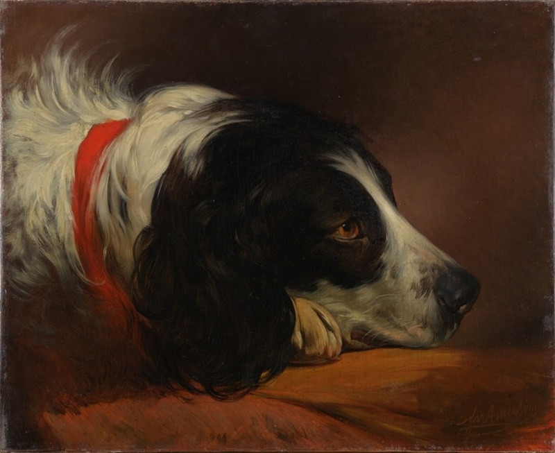 Friedrich von Amerling - Hlava černobílého psa(Neptun)