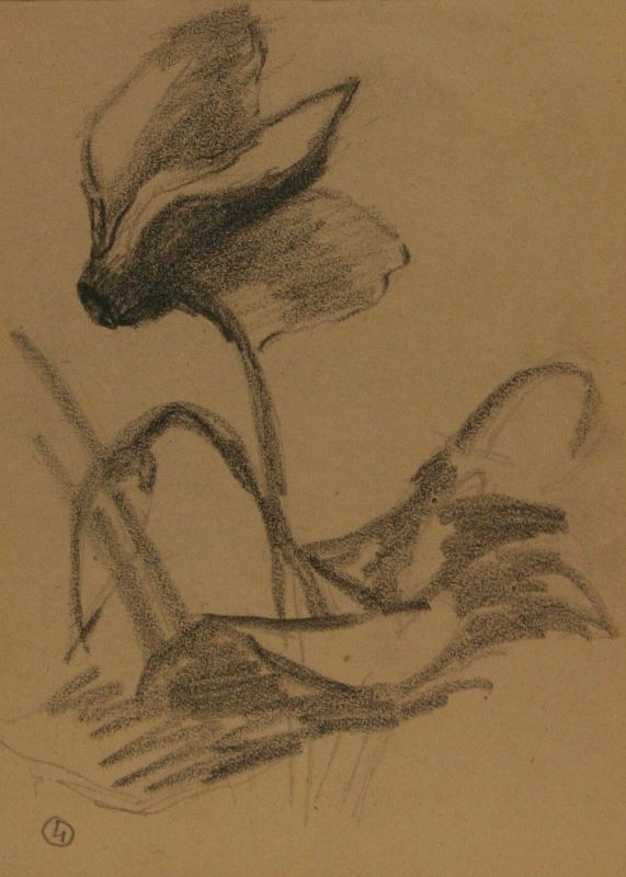 František Foltýn - Dtudie květů 4
