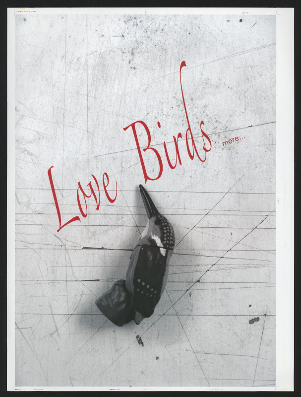 Dong-Sik Hong - Love Birds