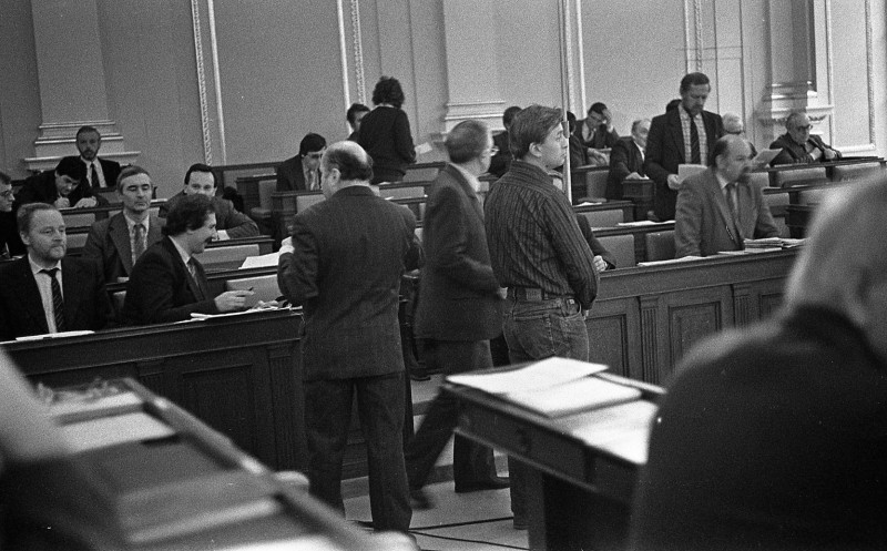 Dagmar Hochová - Diskuse o plnění vládního prohlášení v České národní radě, 14. 2. 1991