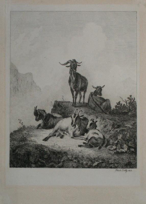 Johann Friedrich Woltz - Krajina s kozami