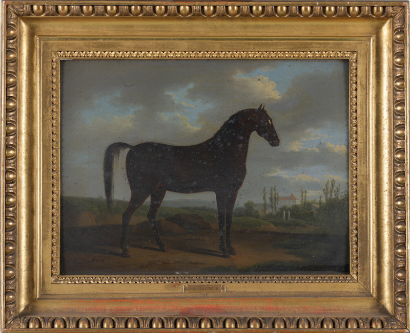 Johann Dallinger von Dalling /1782 - Kůň