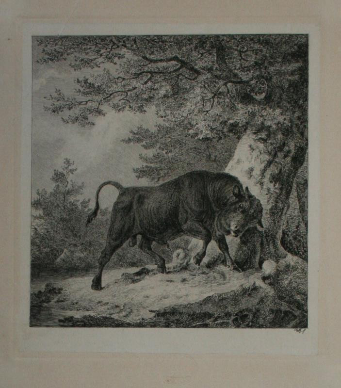 Johann Friedrich Woltz - Krajina s býkem