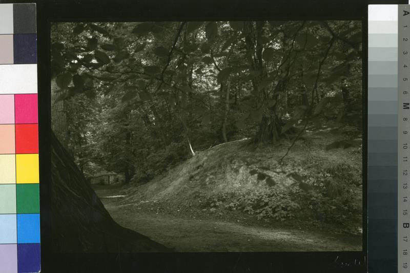 Josef Sudek - V Seminářské zahradě