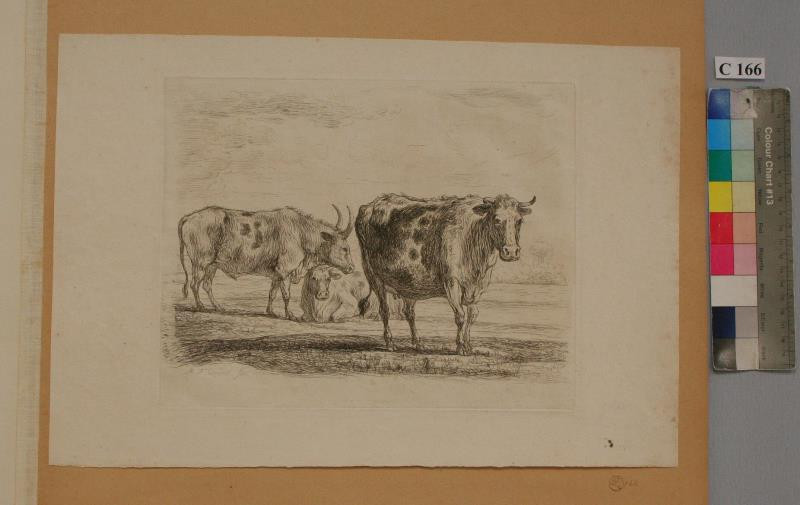 Martin Ferdinand Chvátal (Quatal) - Skupina krav s býkem