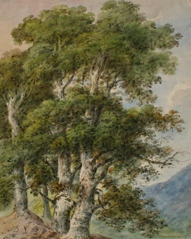 Josef Ethler - Skupina stromů