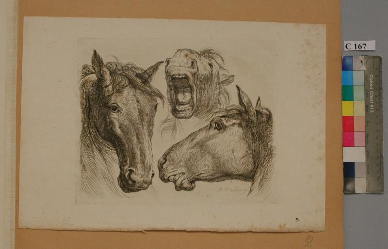 Martin Ferdinand Chvátal (Quatal) - Hlavy tří koní