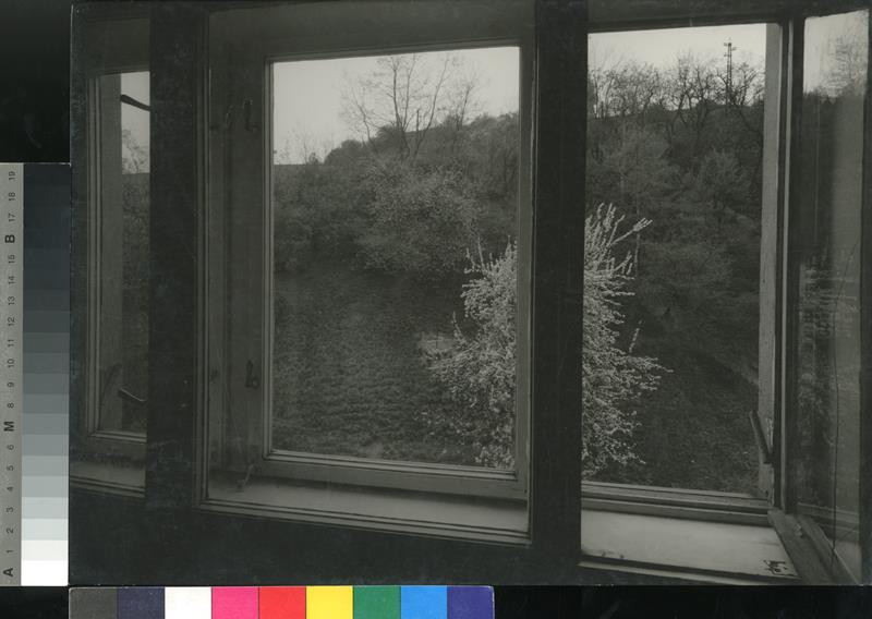 Jan Svoboda - Pohled z okna III., Studie / View from a Window III., A Study
