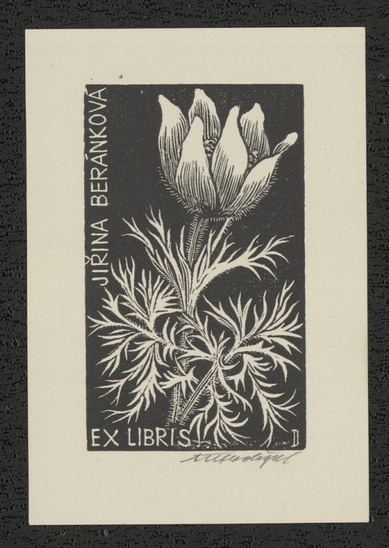 Antonín Doležal - Ex libris Jiřina Beránková