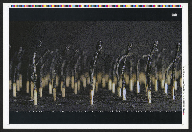 Haddad Wesam - Matchsticks Forest