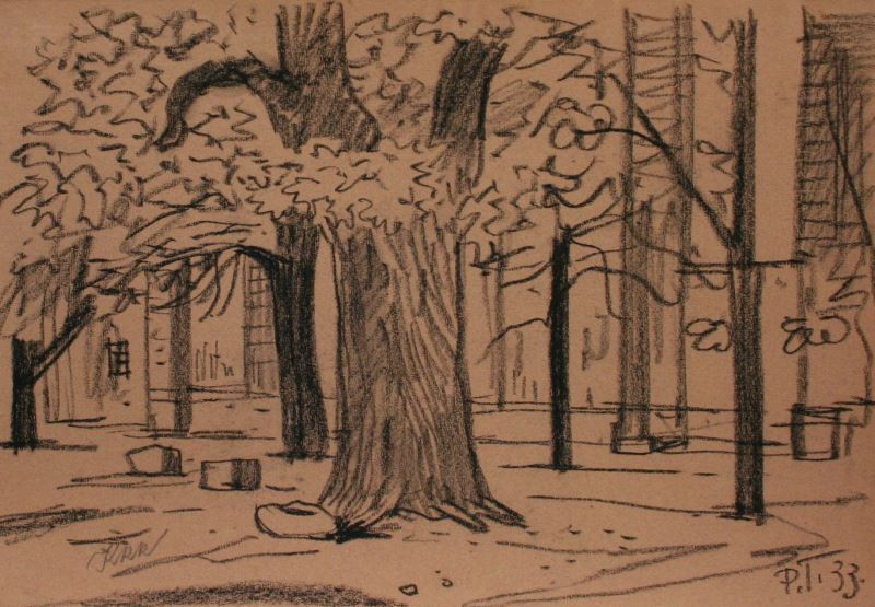 Jan Konůpek - Panenský Týnec, stromy u chrámu