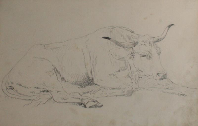 Conrad (Konrad) Bühlmayer - Ležící kráva
