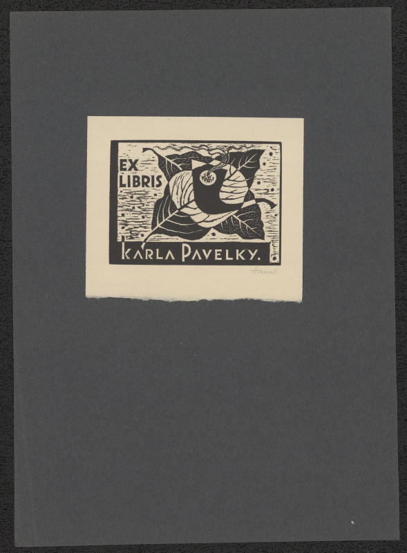 Václav Hanuš - Ex  libris Karla Pavelky