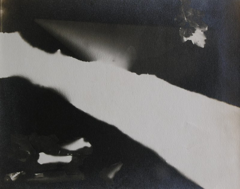 Karel Valter - Fotogram s bílou plochou