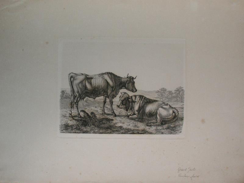 Gustav-Jakub Canton - Kráva a býk