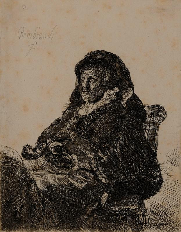 Rembrandt van Rijn - Rembrandtova matka v tmavých rukavicích