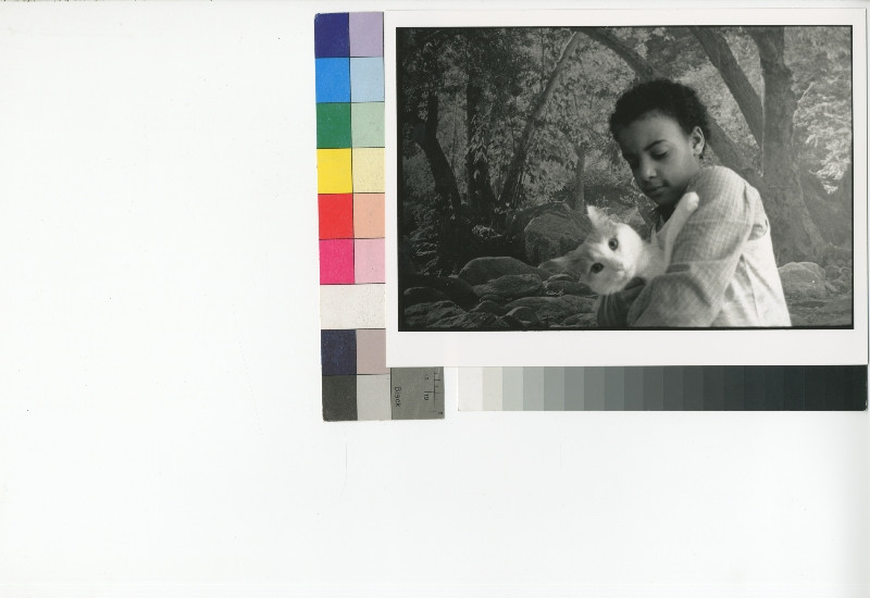 Jindřich Štreit - Bez názvu, Ze souboru Francie - černošské dítě s kočkou před obrazovou tapetou