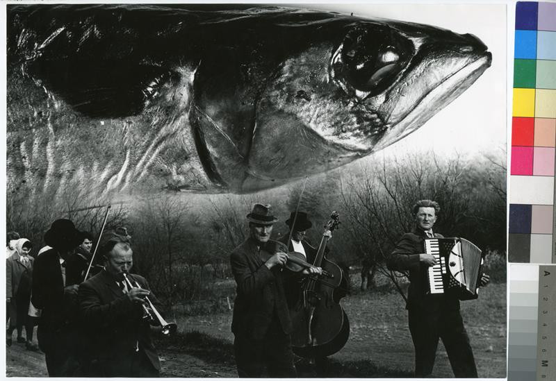 Ondřej Nosál - Skupina muzikantů a ryba (Sen o veľkej rybe)