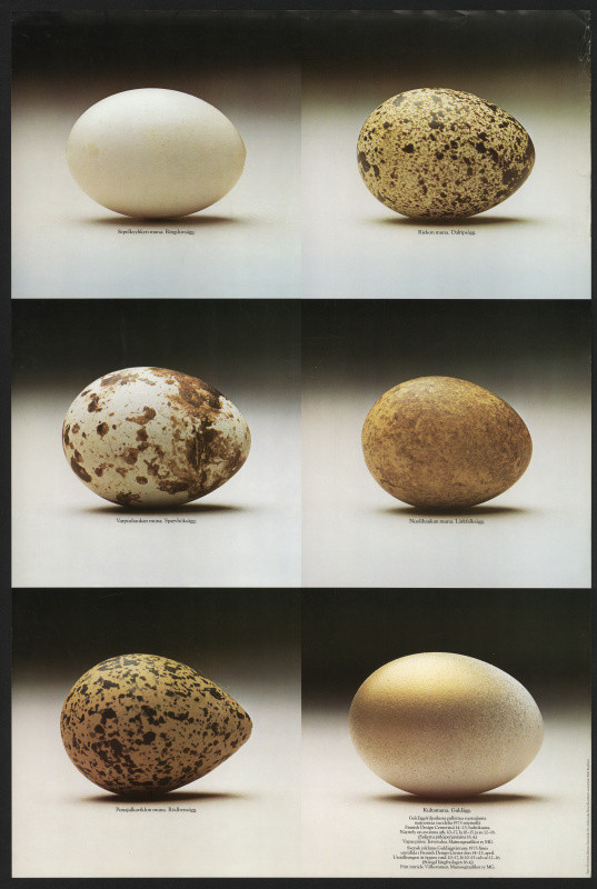 Erkki Ruuhinen - Golden Egg