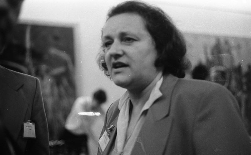 Dagmar Hochová - V předsálí České národní rady, léto 1990