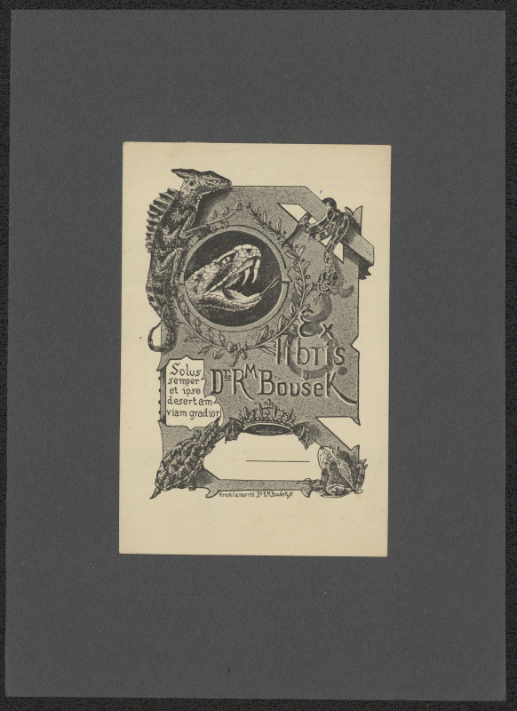 Rafael Maria Boušek - Exlibris Dr. R.M.Boušek