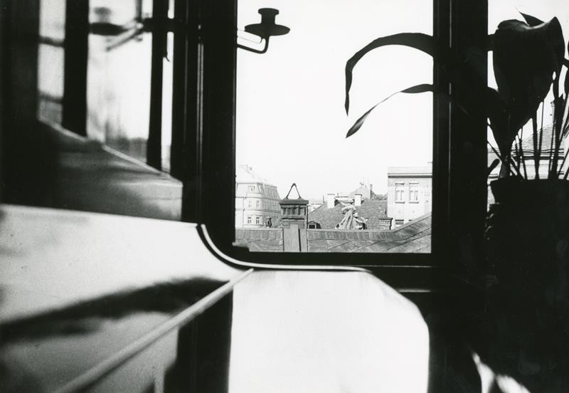 Ladislav Emil Berka - Výhled z mého okna