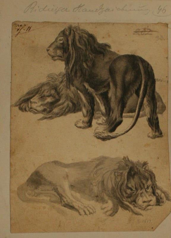 Johann Elias Ridinger (Riedinger) - Studie tří lvů