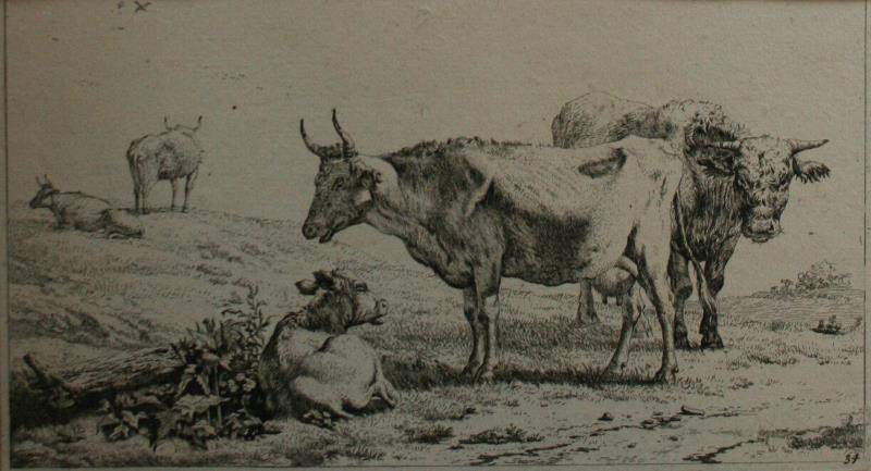 Karel Dujardin - Býk, kráva a telátko