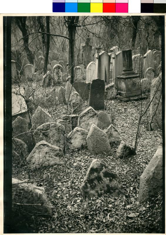 Přemysl Koblic - Židovský hřbitov