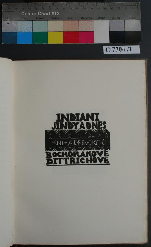 Helena Bochořáková-Dittrichová - Indiáni jindy a dnes