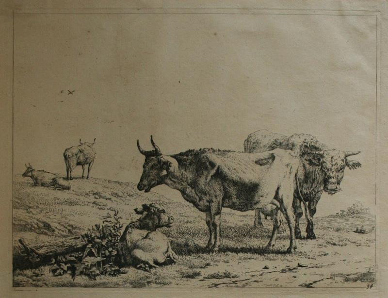 Karel Dujardin - Býk, kráva a telátko