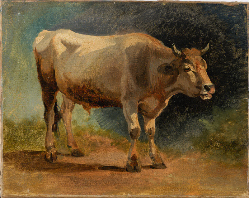 Friedrich Gauermann - Kráva na pastvě