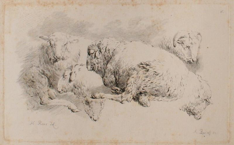 Adam Bartsch - Etudes d' animaux dessintes par H. Roos