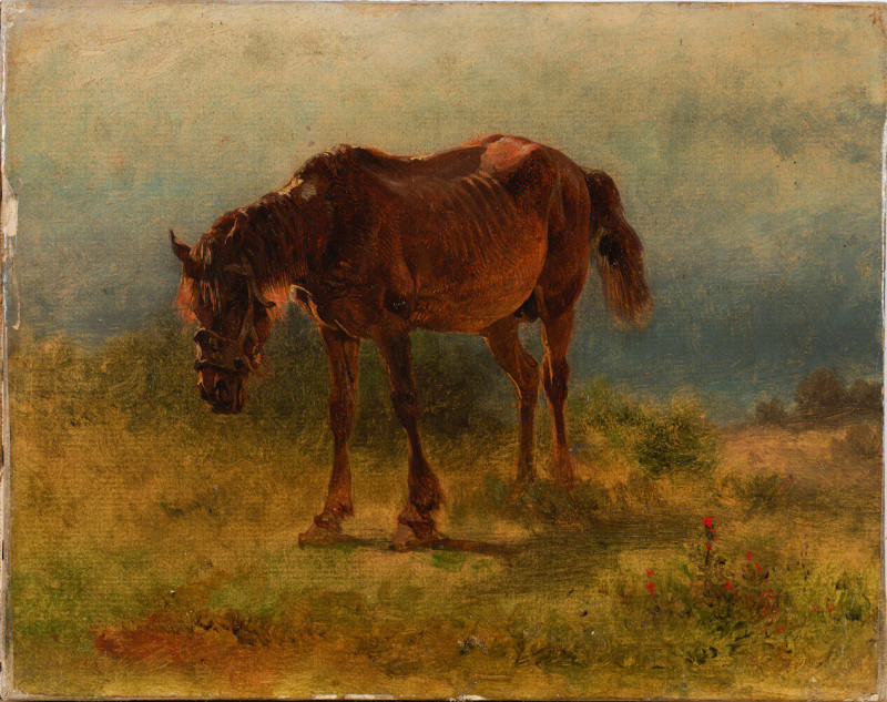 Friedrich Gauermann - Kůň na pastvě