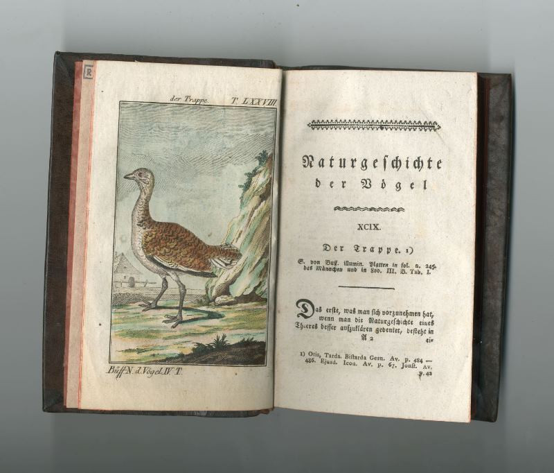 Georg Louis Leclerc de Buffon, Joseph Georg Traßler, Franz Anton Schrämbl - Naturgeschichte der Vögel. Vierter Band