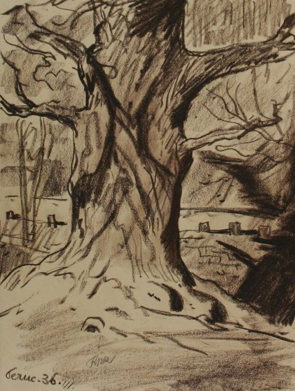 Jan Konůpek - Oldřichův dub v Peruci