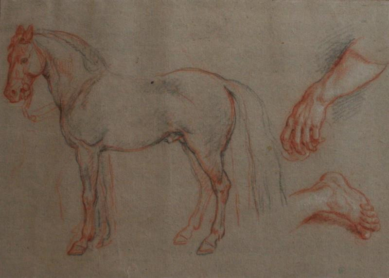 Bouchardon (?) - Studie koně, nohy a ruky