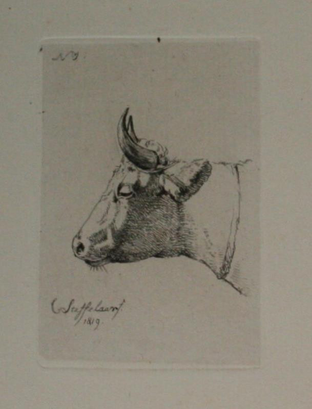 Cornelis Steffelaer - grafika - zvíře